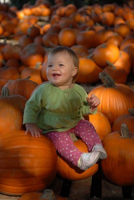 toddler in pumpkin patch