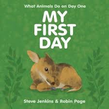 My First Day, Comparing What Animals Do On Day One