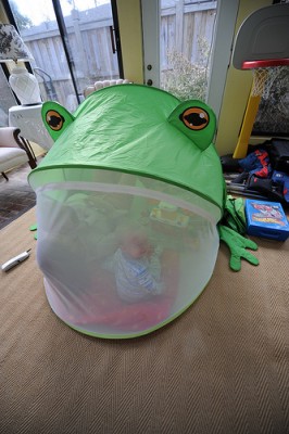 Kid's Frog Tent