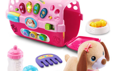 Care for Me Learning Carrier by VTech