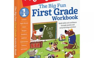 The Big Fun Workbooks by Highlights Press
