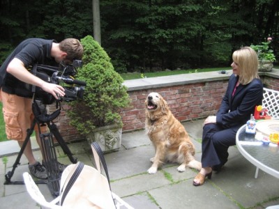 Filming dog for TV