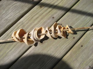 shells on stick