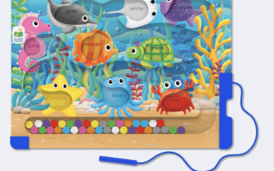 Sort & Learn Magnetic Puzzles by TLJI