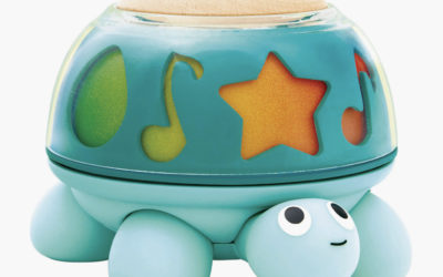 Twist & Tune Turtle by Hape